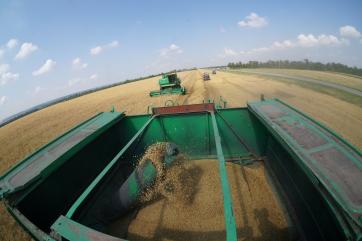 Дальнейшая работа зернового коридора – это игра на нервах Москвы